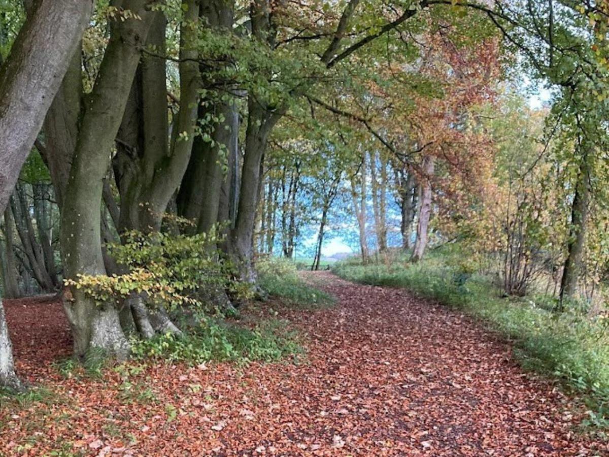 Buchanan Park Villa Ceres Dış mekan fotoğraf